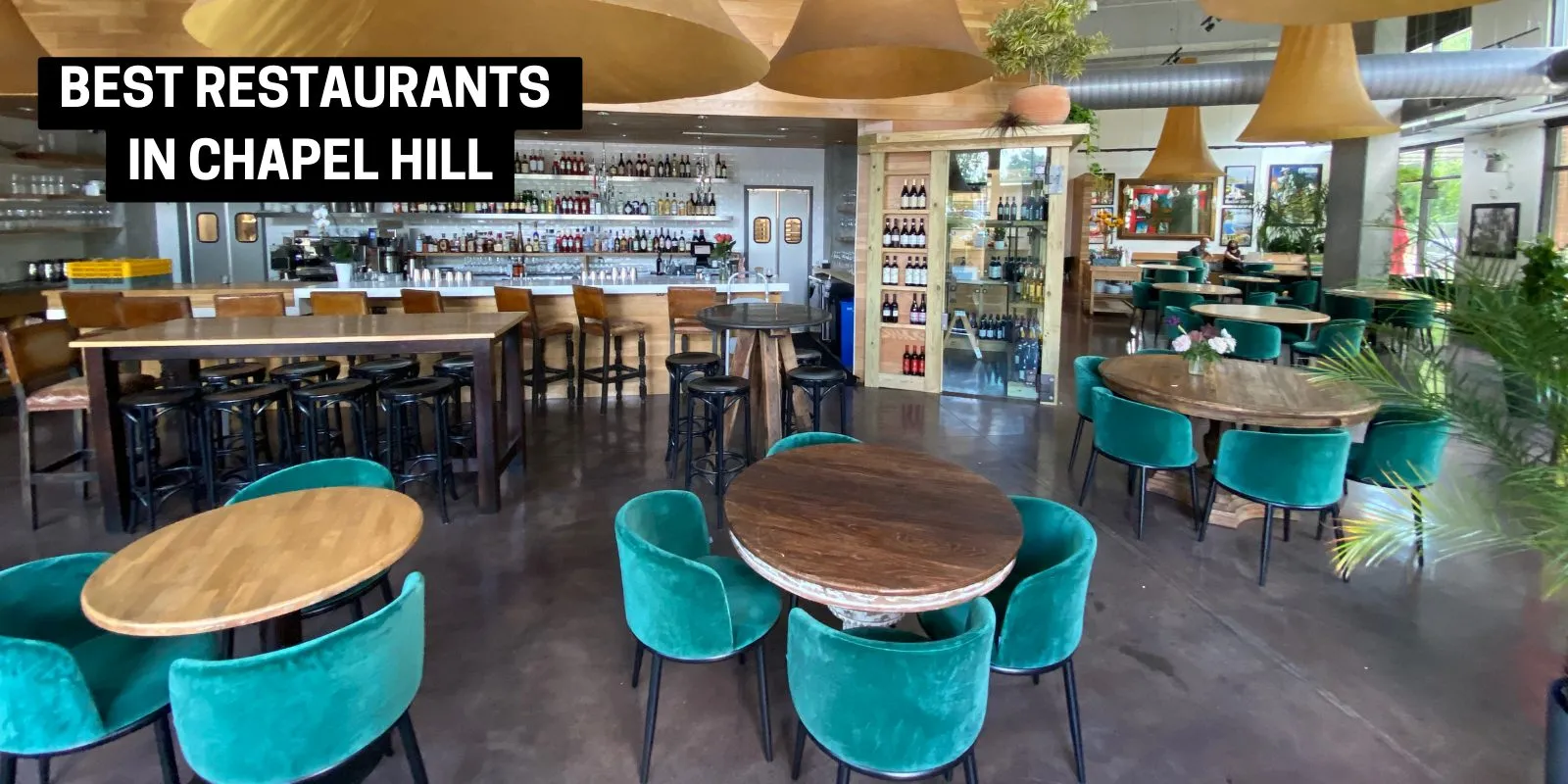 Best Restaurants in Chapel Hill