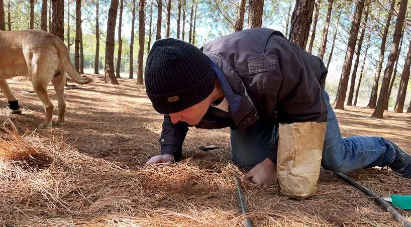 Jeffery checking bianchetto truffle in the ground at Burwell Farms - nctriangledining.com