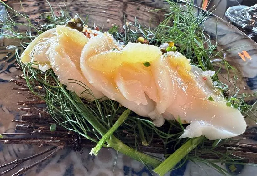 Scallops crudo at La Terrazza in Raleigh - nctriangledining.com